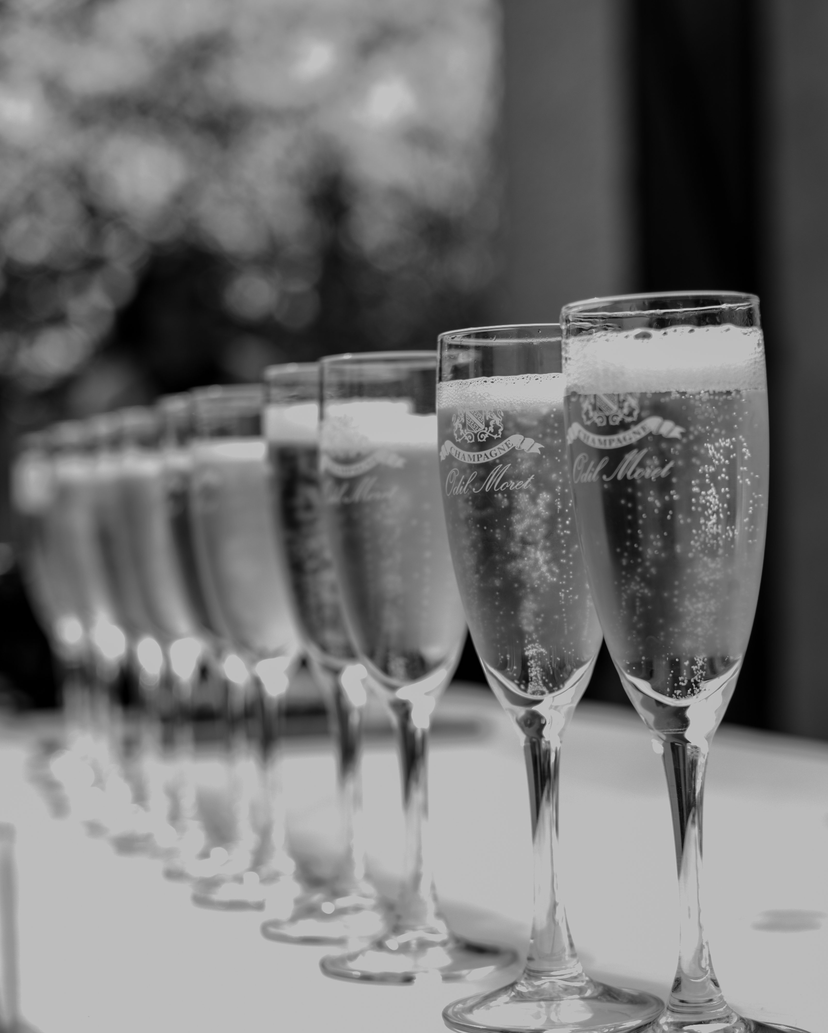 champagne odil moret